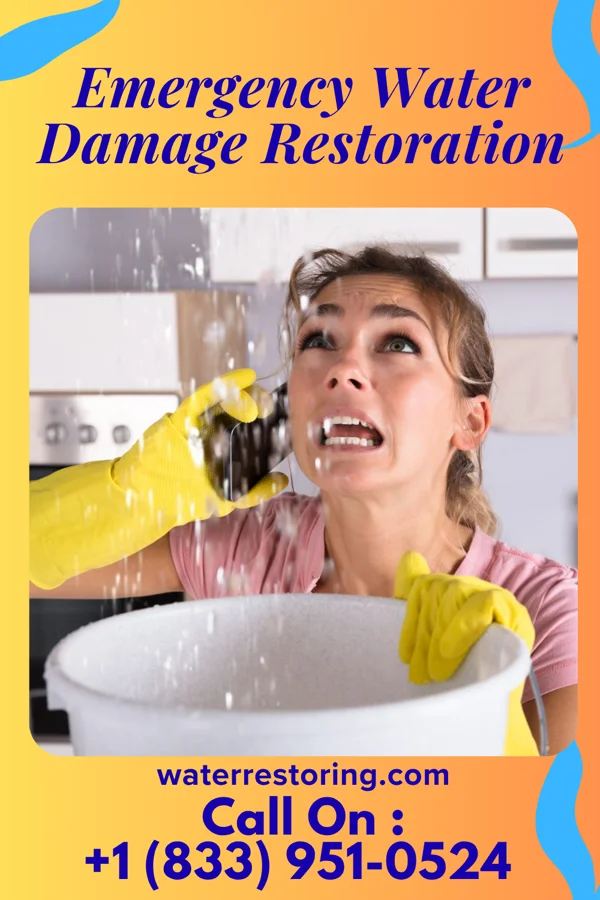 Emergency Water Damage Restoration in Waldo, FL